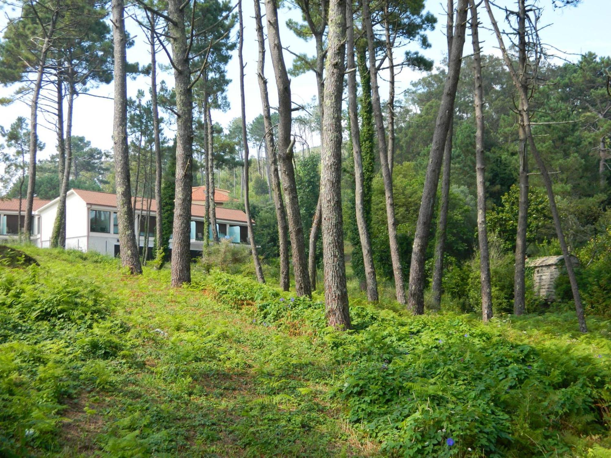 Hotel Alen Do Mar Finisterre Dış mekan fotoğraf